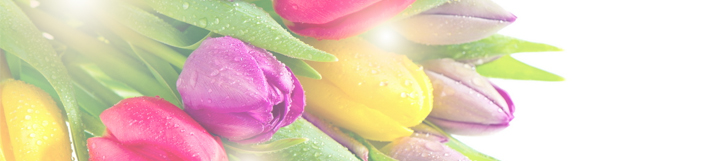 купить цветы в Турции от Grand-flora